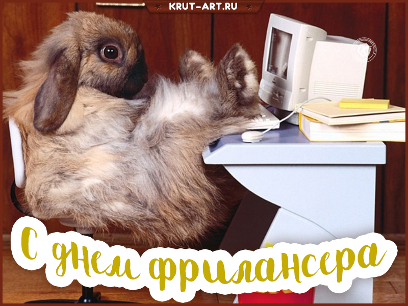 С днем фрилансера