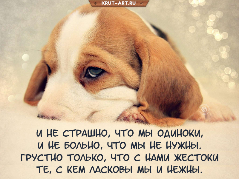 И не страшно, что мы одиноки