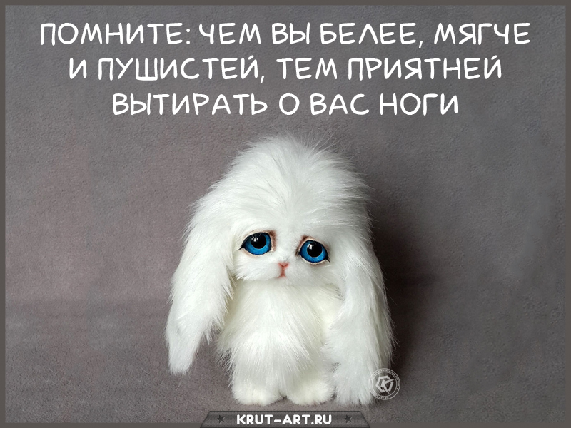 Помните, чем вы белее, мягче и пушистей