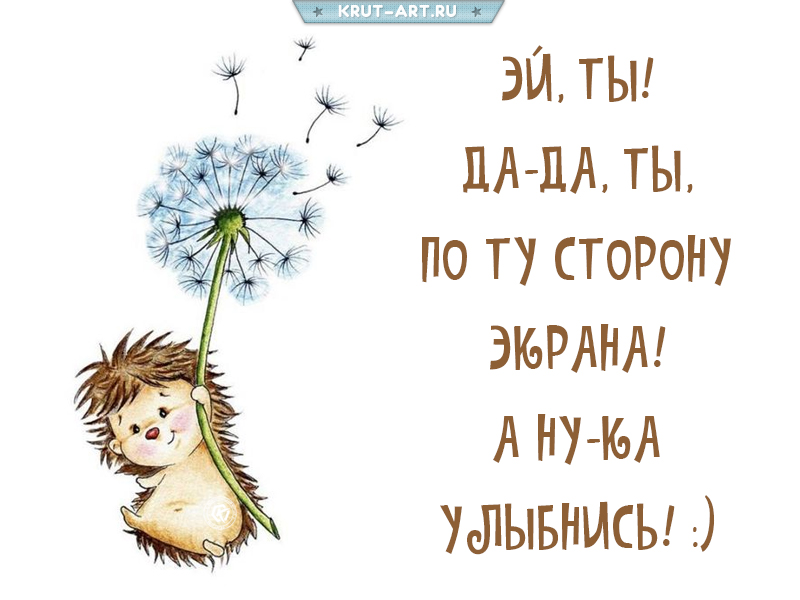 Прикольная картинка улыбнись