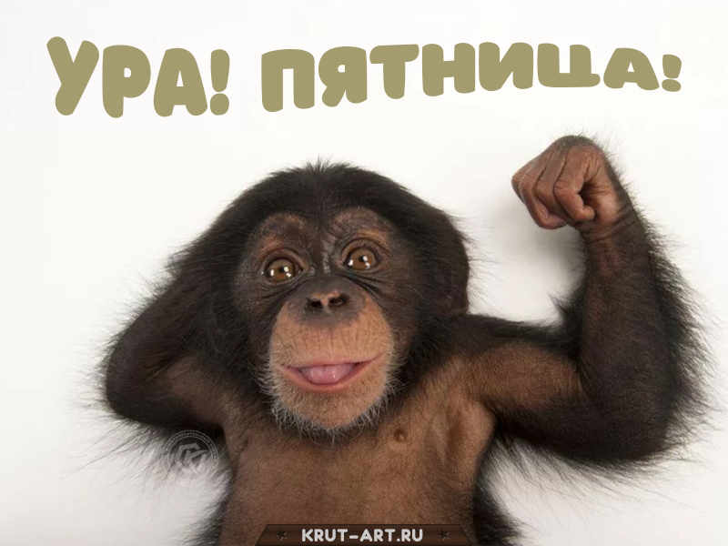 Ура! Пятница! Смешная картинка