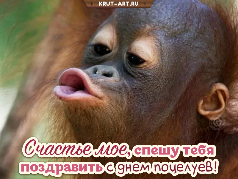 Всемирный день поцелуя смешная картинка