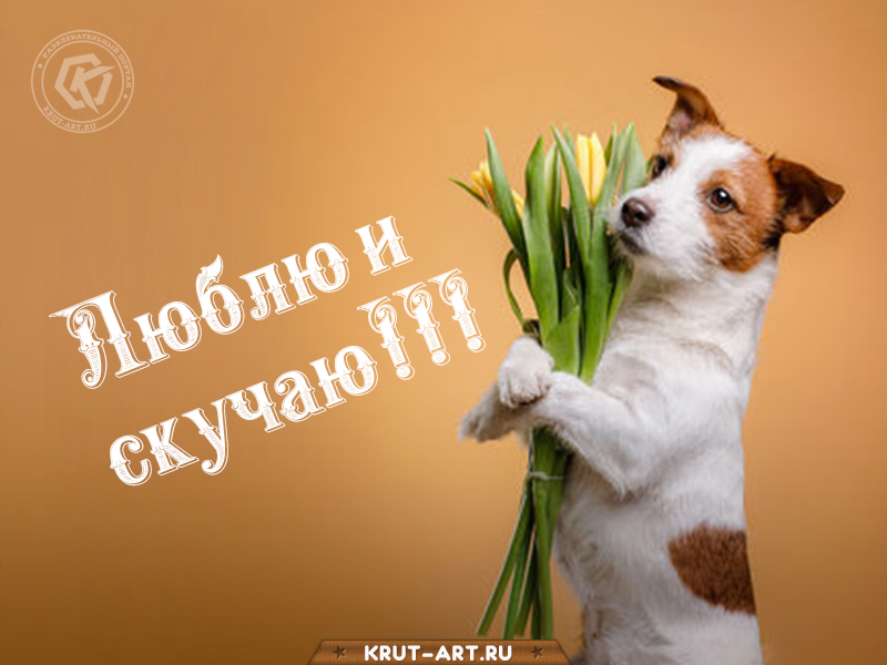 Люблю и скучаю картинка