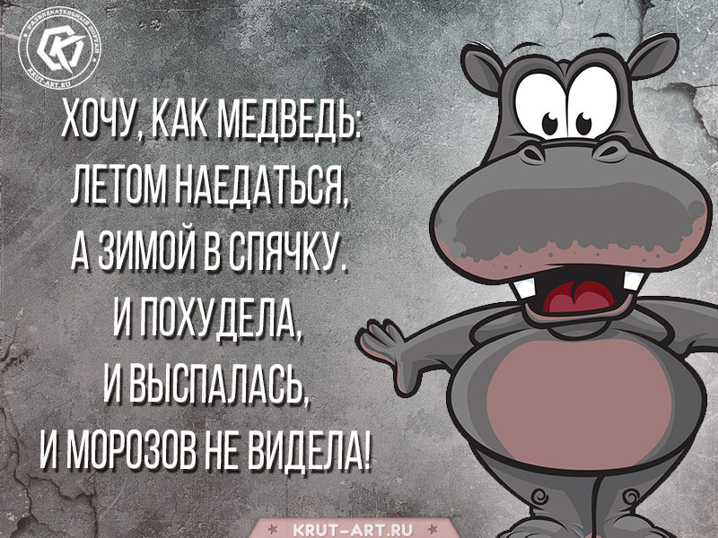 Как держать себя в форме