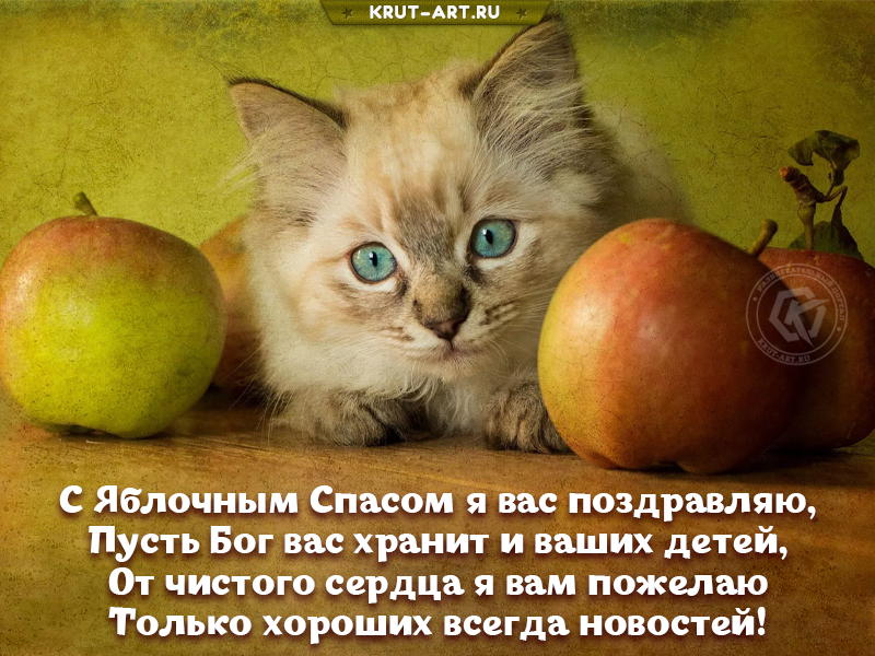 Красивая картинка яблочный спас