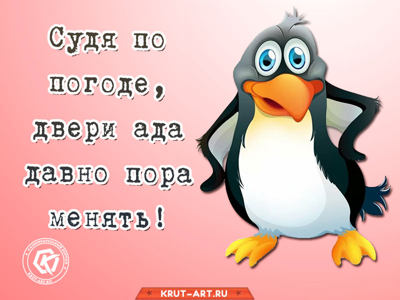 Смешная картинка об аномальной жаре