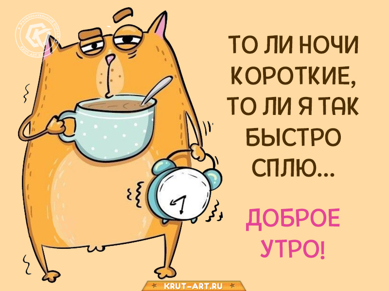 То ли ночи короткие, то ли я так быстро сплю..