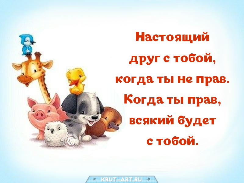 Цитата про настоящего друга