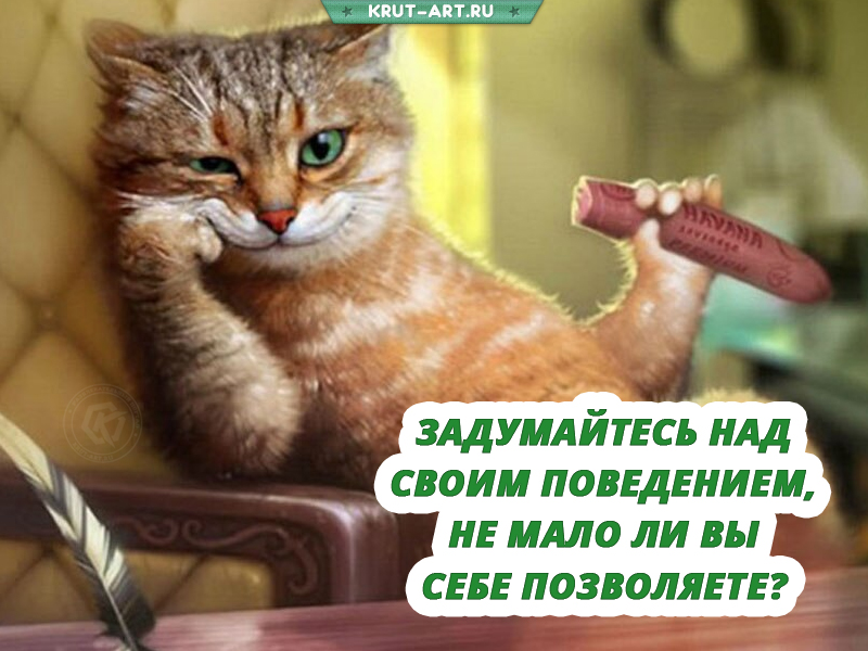 Задумайтесь над своим поведением