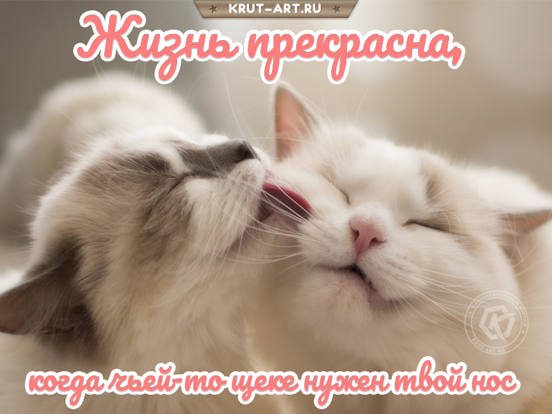 Жизнь прекрасна, когда…картинка
