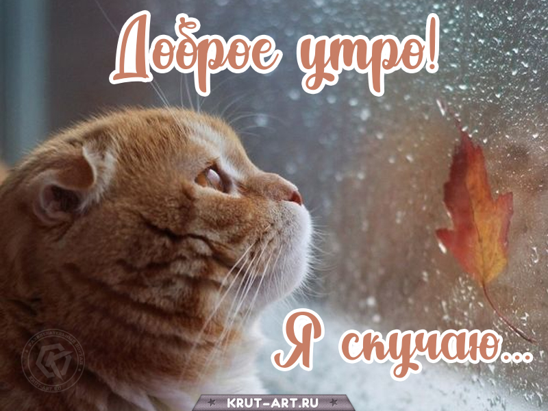 Добро утро, я скучаю картинка