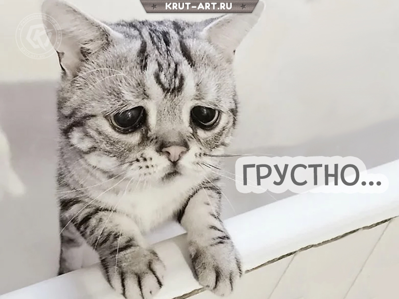 Грустно.. картинка