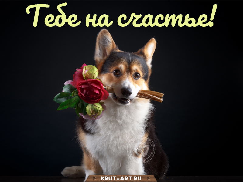 Тебе на счастье