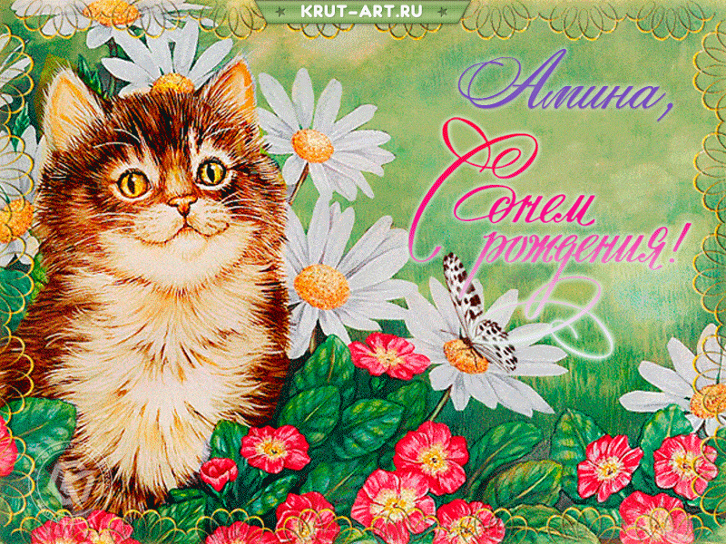 Открытка с днем рождения, Амина