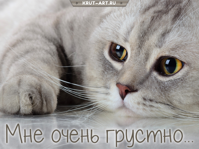 Мне очень грустно