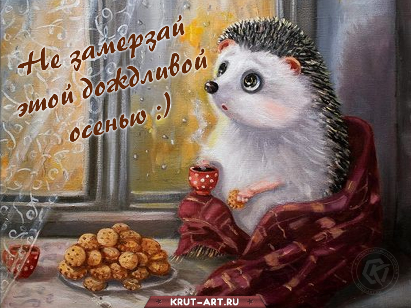 Не мерзни этой дождивой осенью