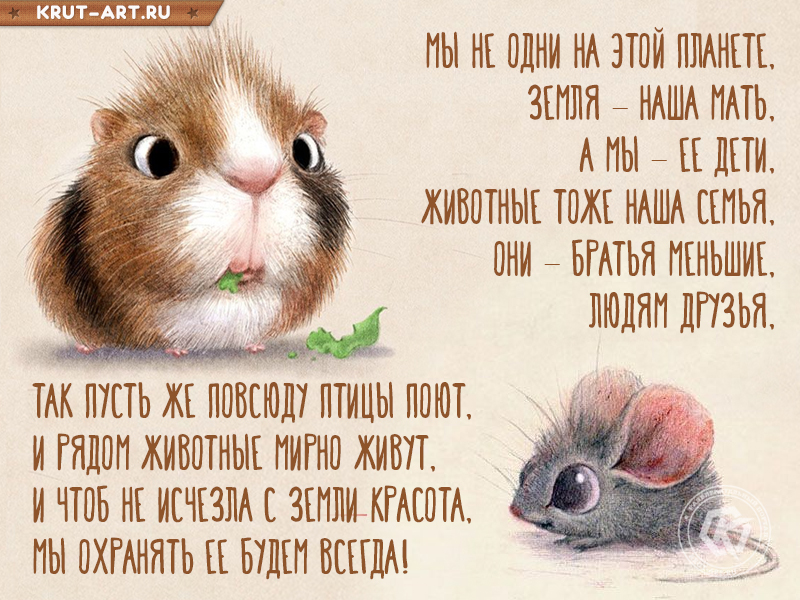 День защиты животных