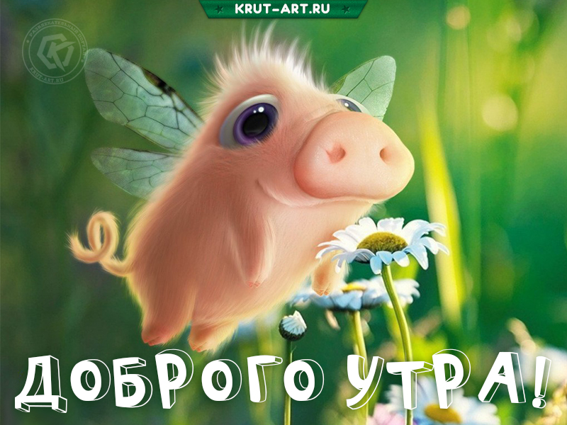Доброго утра милая открытка