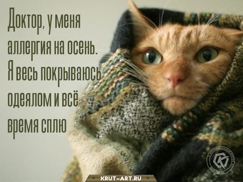 Смешная картинка — доктор, у меня аллергия на осень