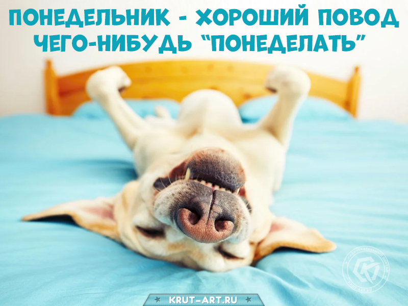Понедельник — хороший повод чего-нибудь «понеделать»