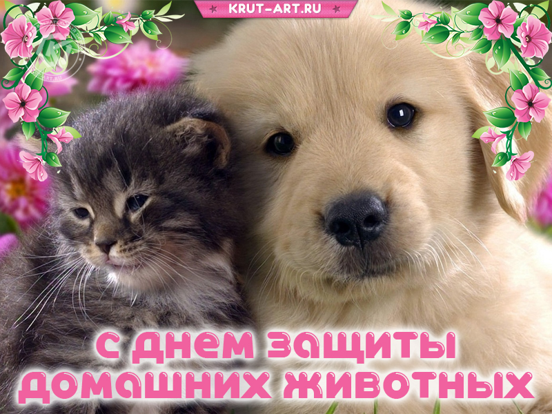 С днём защиты домашних животных