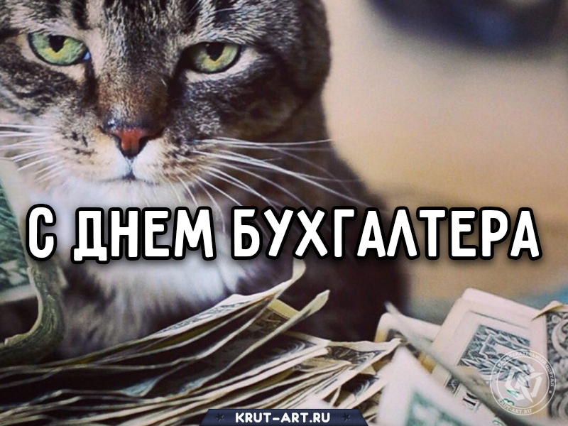 Прикольное поздравление бухгалтеру