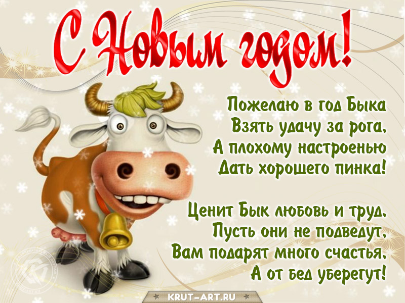 Смешное поздравление с годом быка