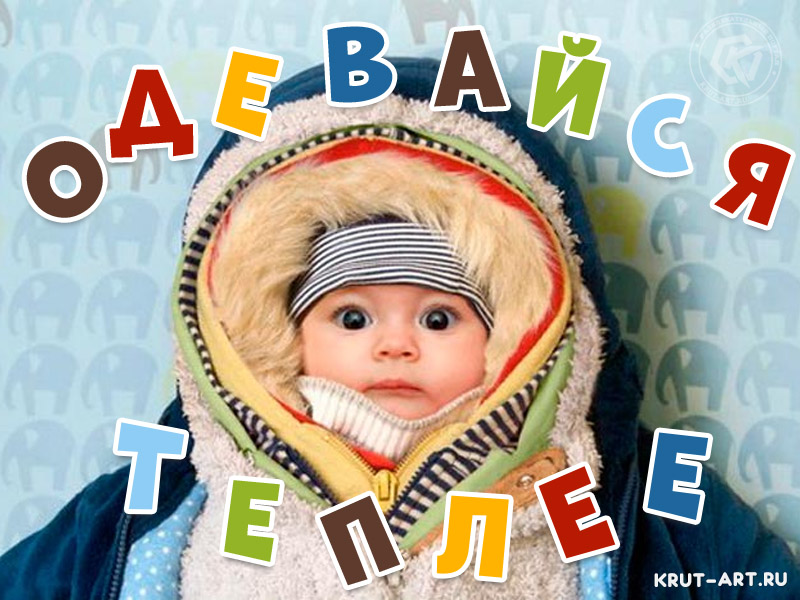 Одевайся теплее смешная картинка