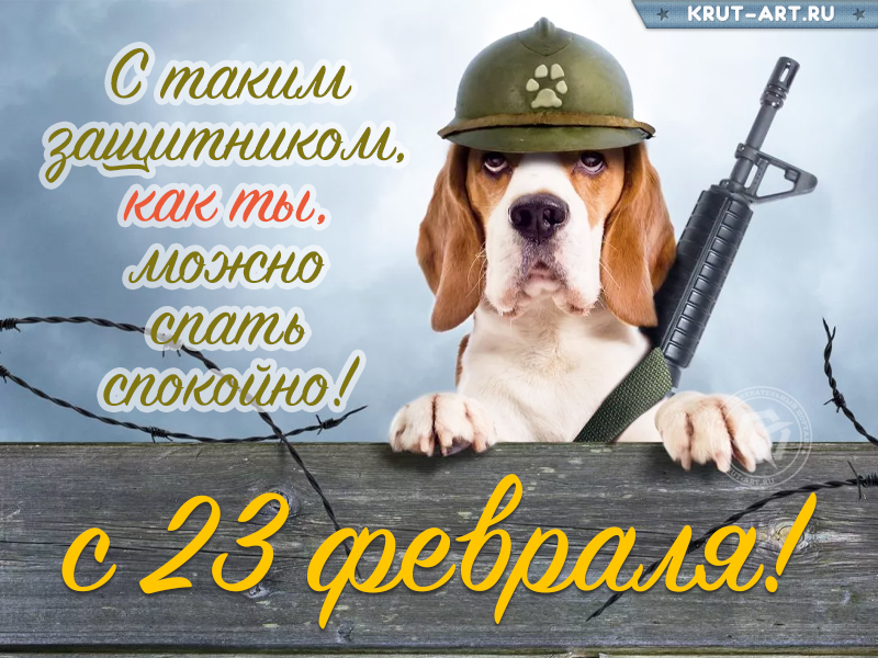 Прикольное поздравление на 23 февраля