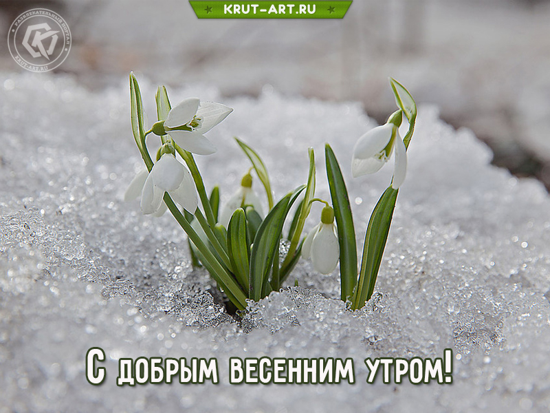 С добрым весенним утром!
