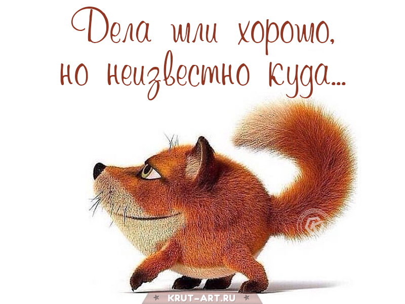Дела шли хорошо, но неизвестно куда