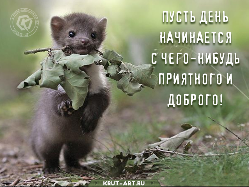 Пусть день начнется с чего-нибудь доброго