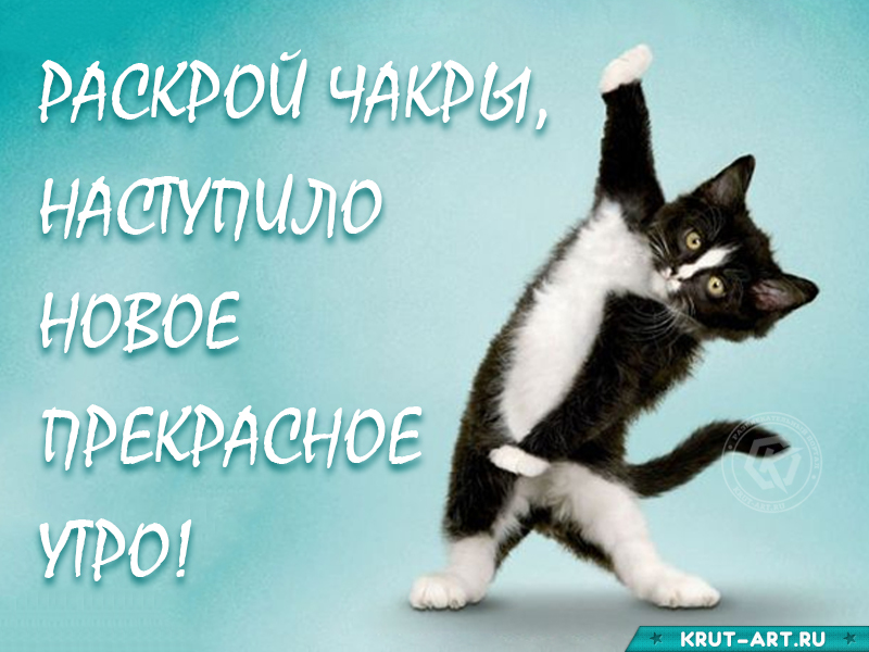 Смешная картинка доброе утро наступило