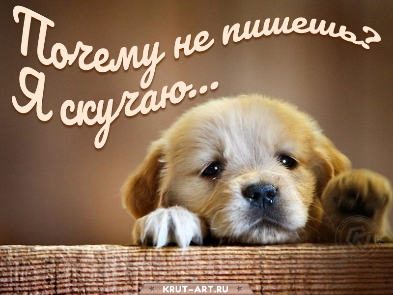Почему не пишешь? Я скучаю