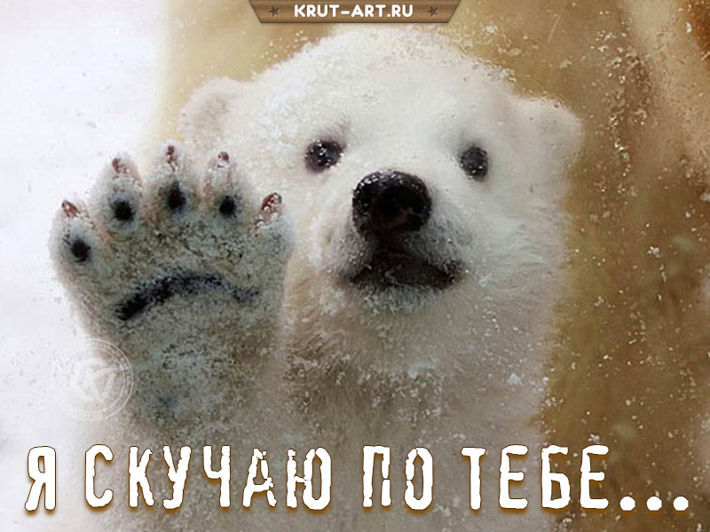 Я скучаю по тебе грустная картинка