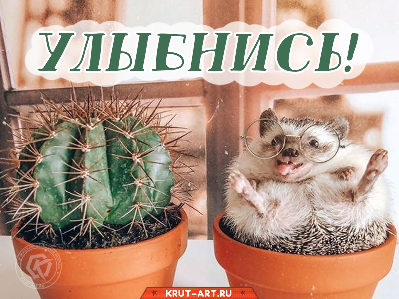 Милая картинка «улыбнись»