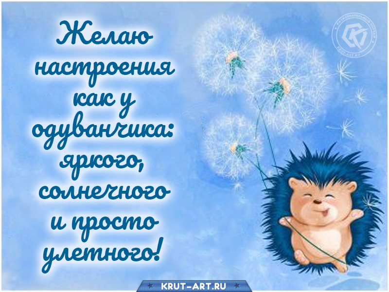 Желаю настроения как у одуванчика