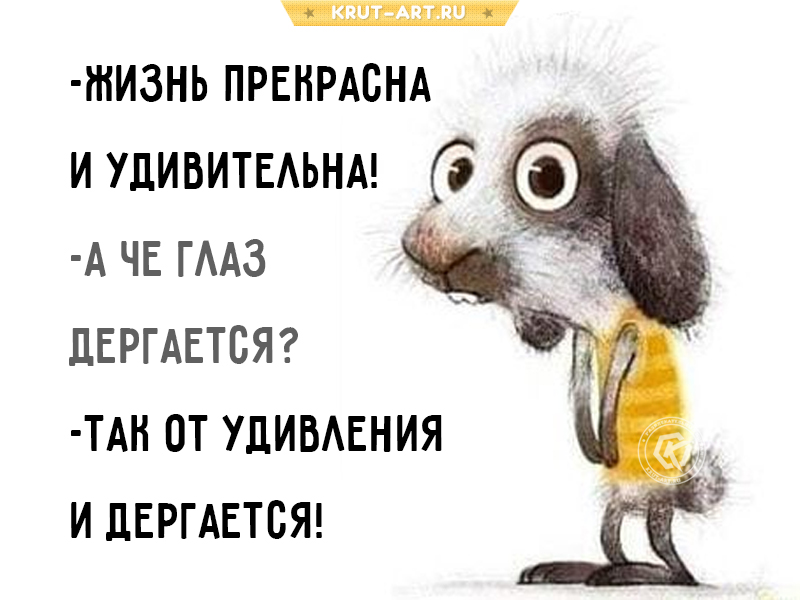 Жизнь прекрасна и удивительна