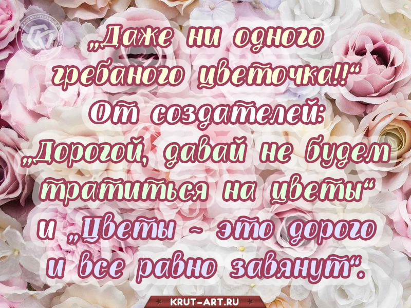 Даже ни одного гребаного цветочка..