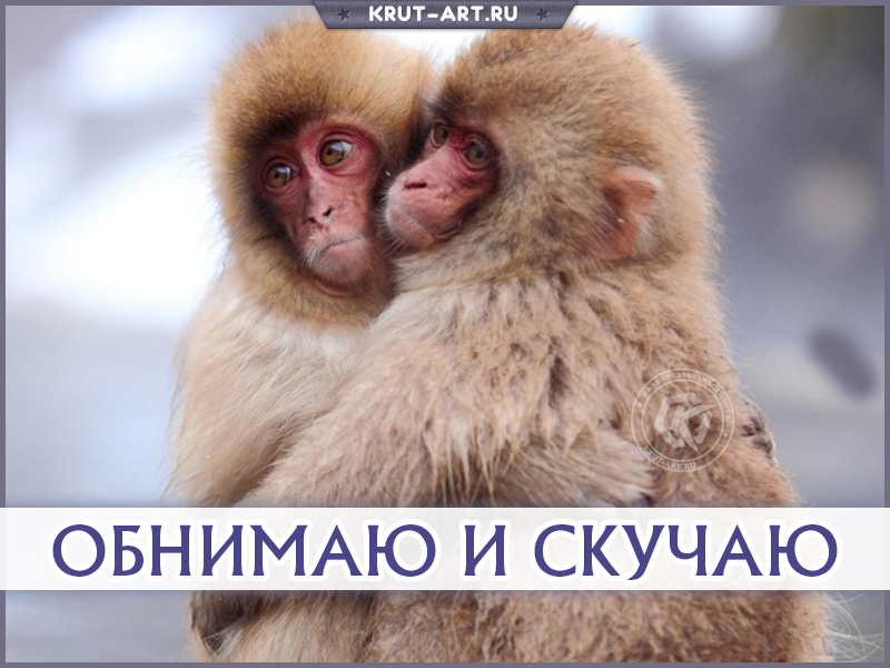 Обнимаю и скучаю