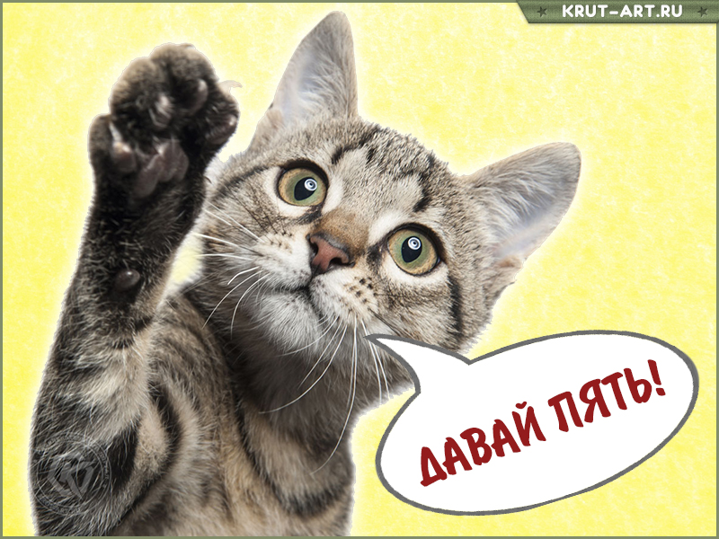 Давай пять картинка