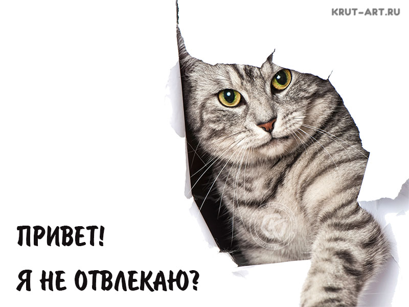 Привет, я не отвлекаю?