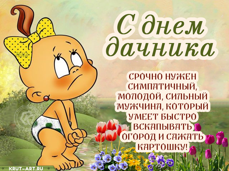 Смешная картинка с днем дачника