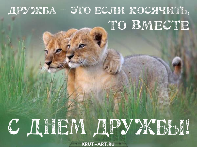 Смешная картинка в день дружбы