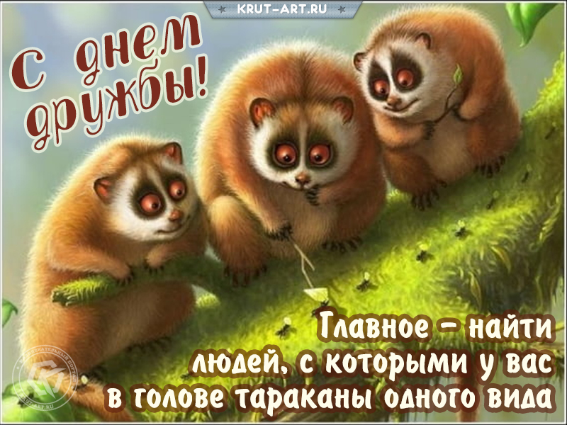 С днем дружбы прикольная картинка
