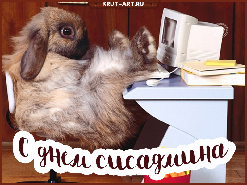 С днем сисадмина