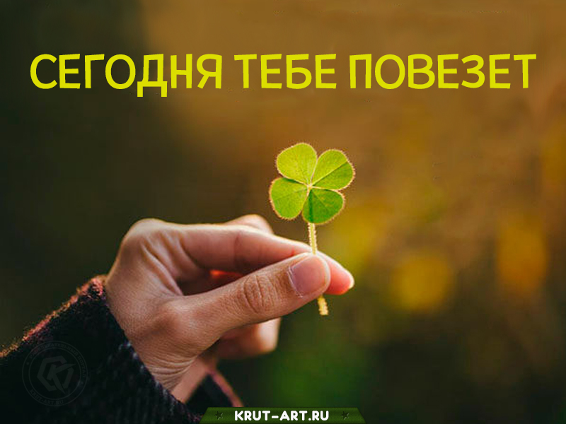 Сегодня тебе повезет