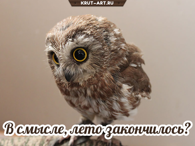 В смысле, лето закончилось?