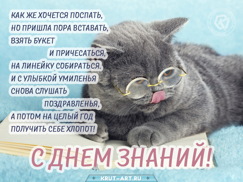 1 сентября смешная открытка