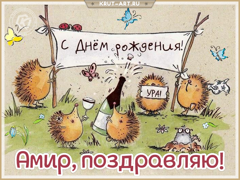Открытка с днем рождения мужчине по имени Амир